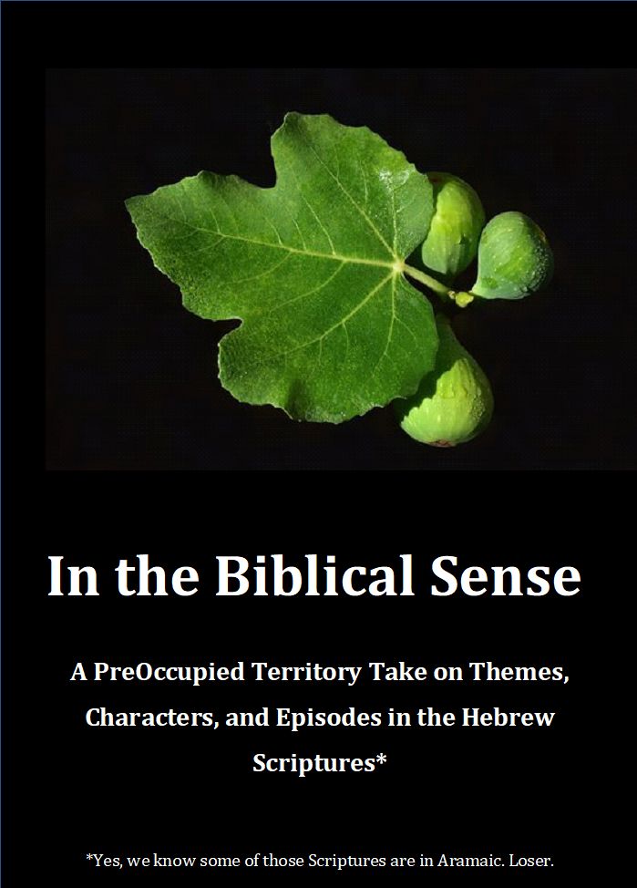 In The Biblical Sense — book cover