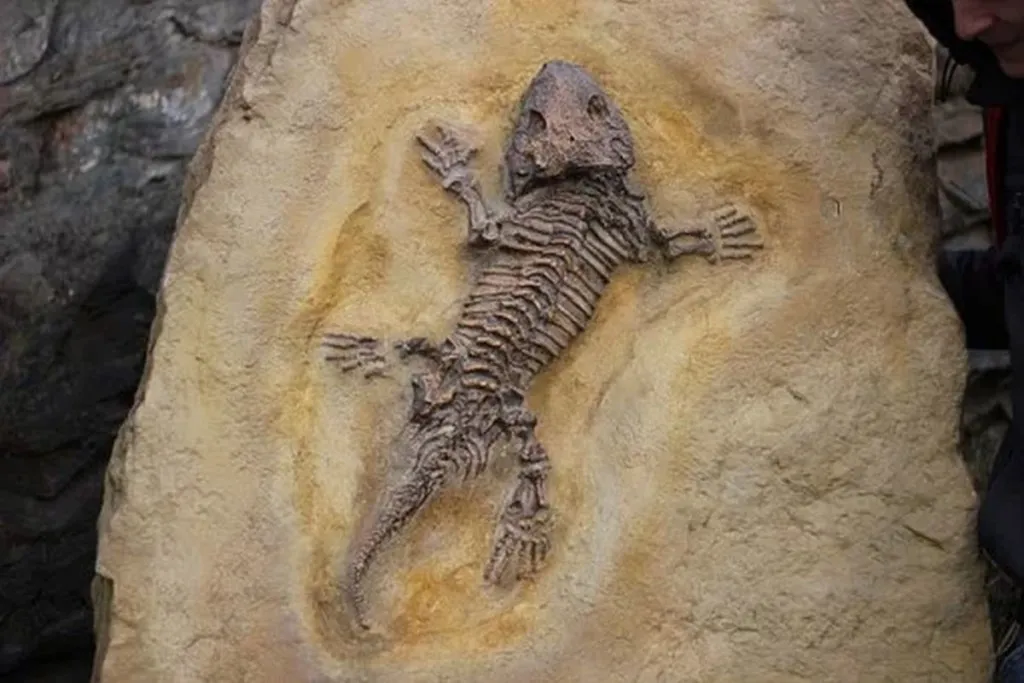 Fight Erupts Between Jews Planting Ancient Zionist Evidence And God Planting Fossils