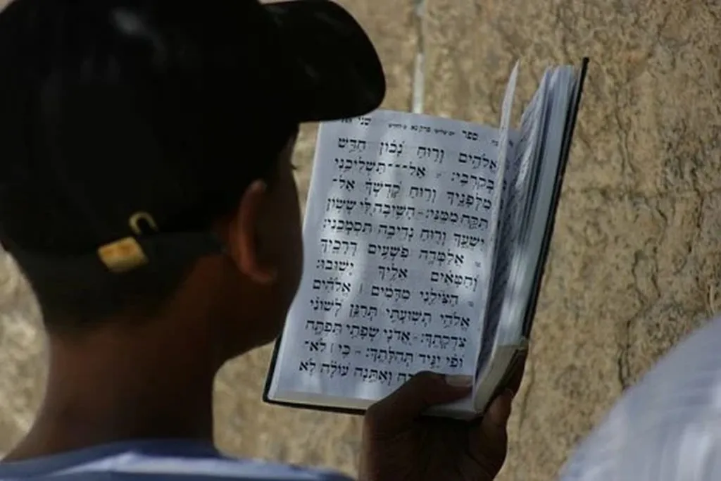 Kotel Empty, Women Of The Wall Mull Hiring Others To Spit On Them