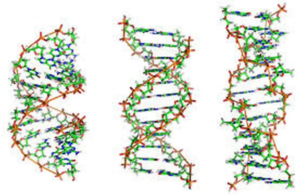European Scientists Find Palestinian Gene For Blamelessness