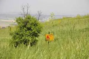 danger minefield