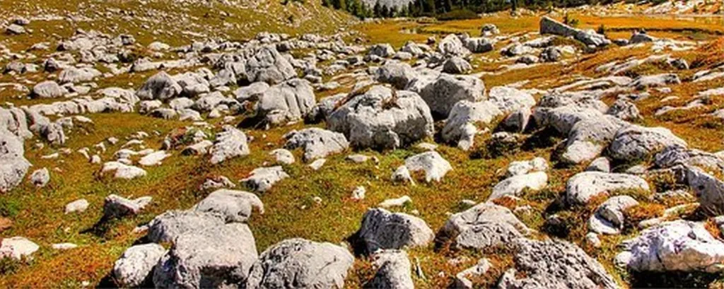 Rock Sits For 800 Million Years Only To Be Thrown Badly By Rioter