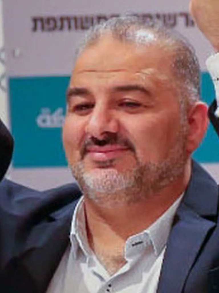 Arab MKs Call On Constituents To Engage Only In Responsible Rioting, Mayhem