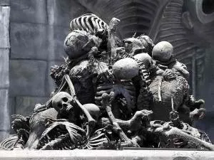 pile of bones