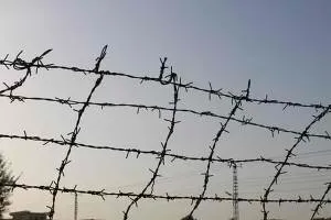 barbed wire