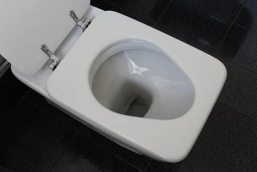 Mossad Makes Palestinian Toilet Seats Extra-Cold In Winter