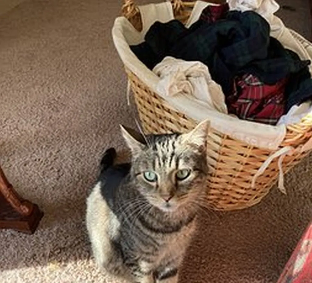Neverending Laundry Convinces Atheist Parent: Biblical Miracle Of Unlimited Oil Real