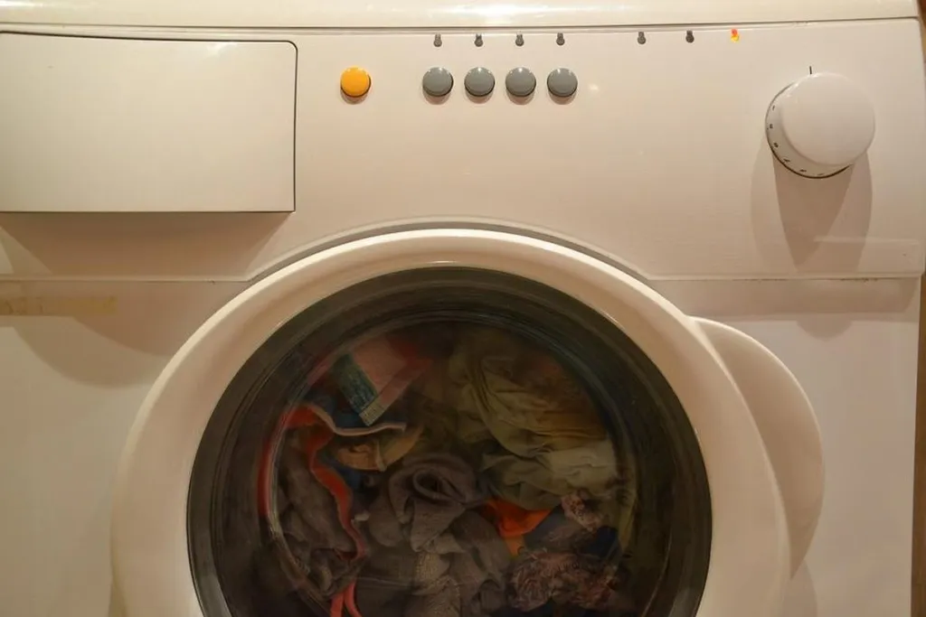 Promising New Fungus Species Grows On Laundry Left In Washer For 3rd Day