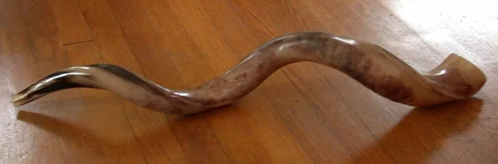 Man Bragging A Little Too Much About Size Of His Shofar