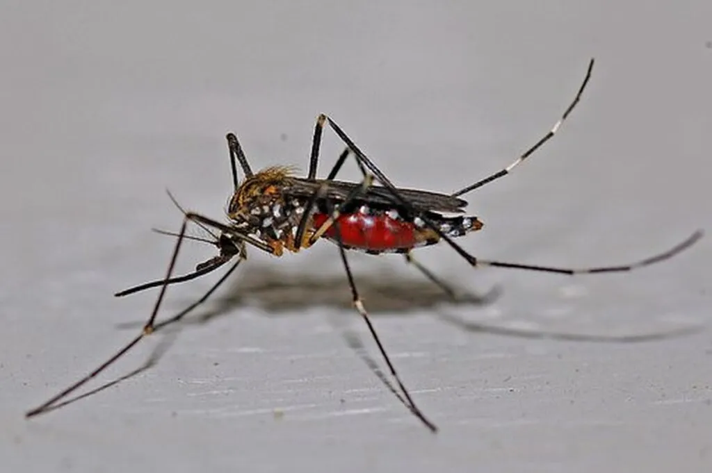 ‘Mosquitos’ Just Israeli DNA-Harvesting Tech To Make New Pathogens, Weapons