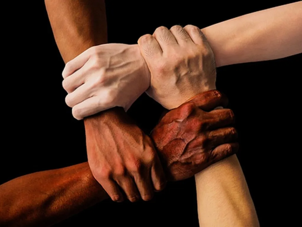 Racist Apartheid Regime Racistly Being Not Racist