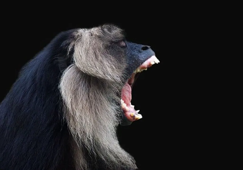 Opposition Brings Howler Monkeys To Committee Meeting, Improves Decorum