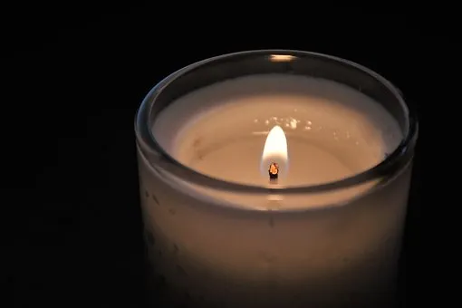 ‘Pro-Palestine’ Activists Construe Yom HaShoah As Celebratory