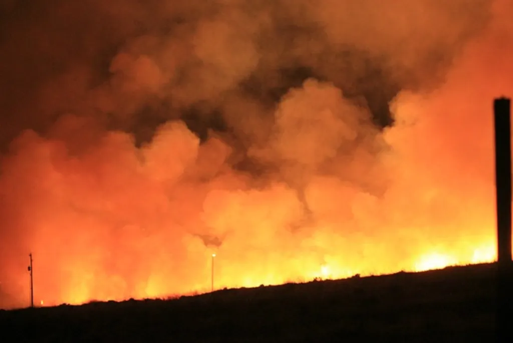 Report: Environmental Terrorism OK When Palestinians Do It