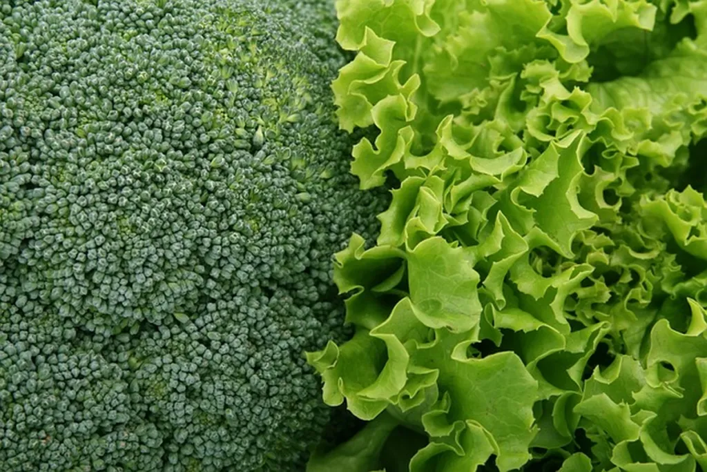 ‘Nuke Gaza!’ Talk Gives Gush-Katif-Resettlement Activist Idea: Irradiated Produce