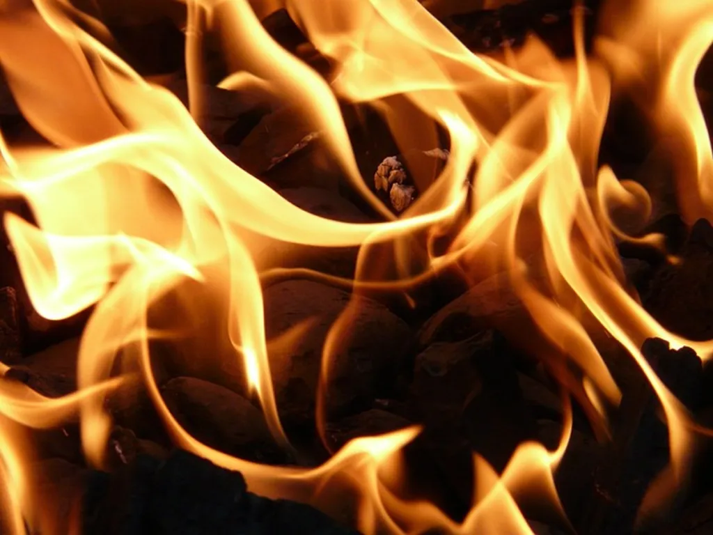 International Hamas Brigades Of Self-Immolators So Far Ineffective In Gaza War