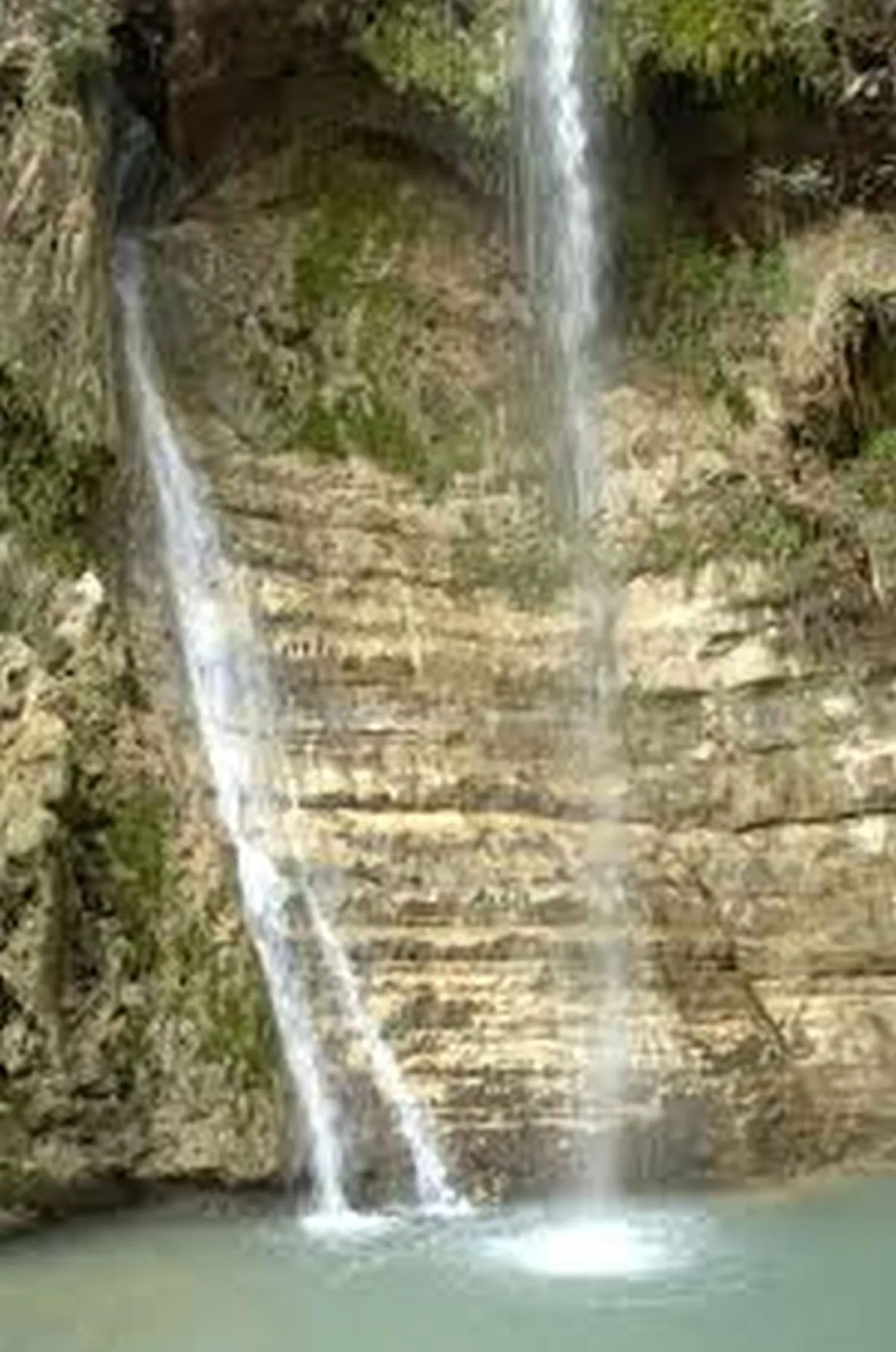 Ein Gedi