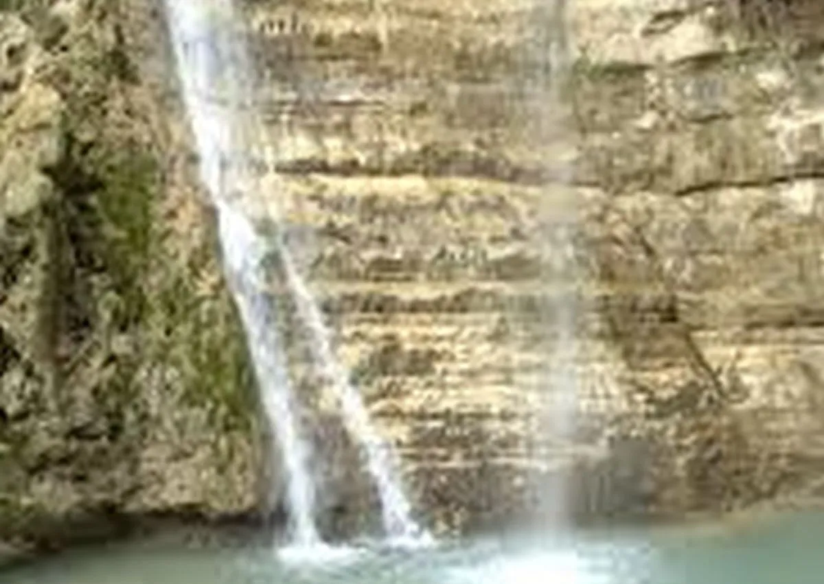Israelis To Honor Nature By Bickering In Lusher Setting