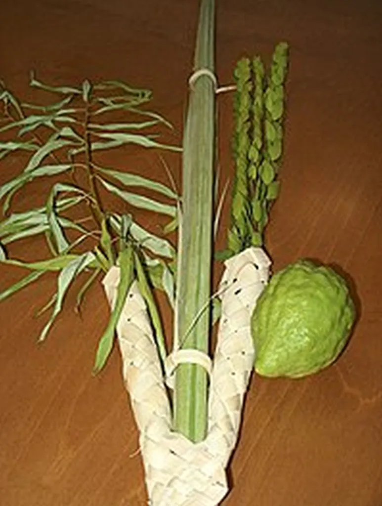New Pilgrimage Develops To See ‘Aravah That Did Not Wither By 3rd Day Of Sukkot