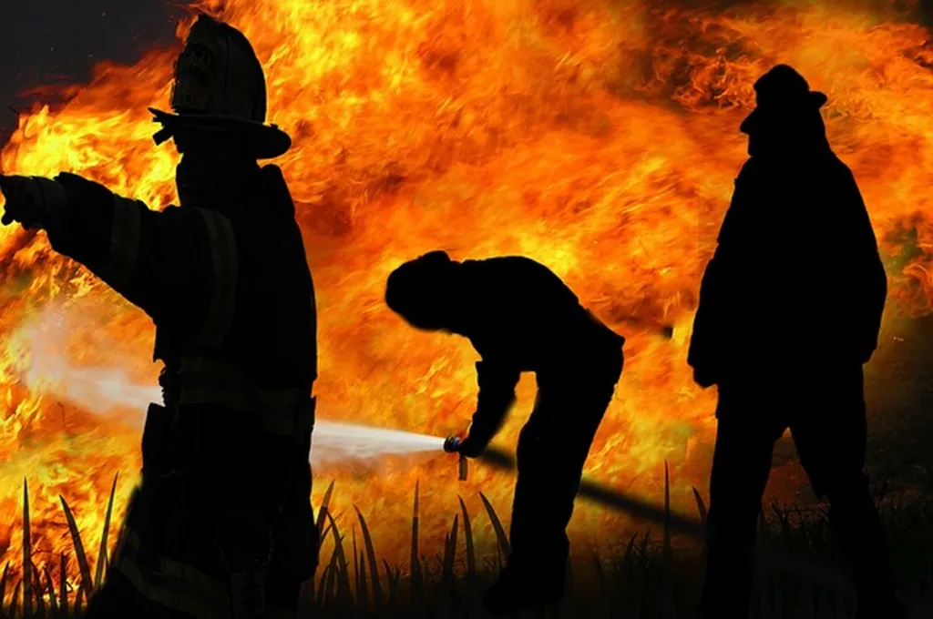 Arabian Desert Countries Offer Water To Los Angeles To Fight Fires