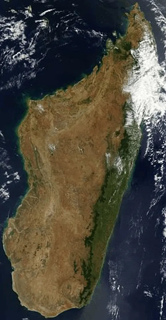 Nazis’ ‘Deport Jews To Madagascar’ Updated To ‘Deport Nazi-Allied Palestinians’ There
