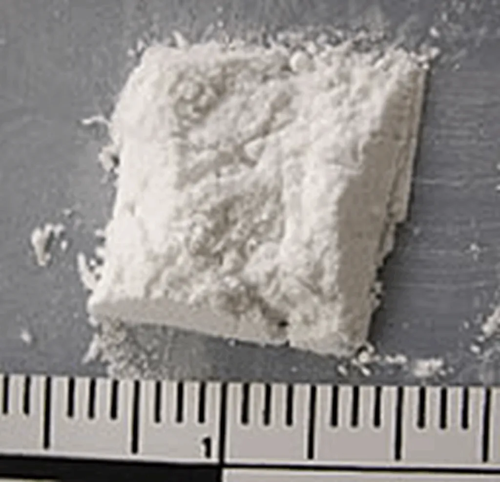 Greta Arrested Again; Led Flotilla To Deliver Fentanyl To San Francisco