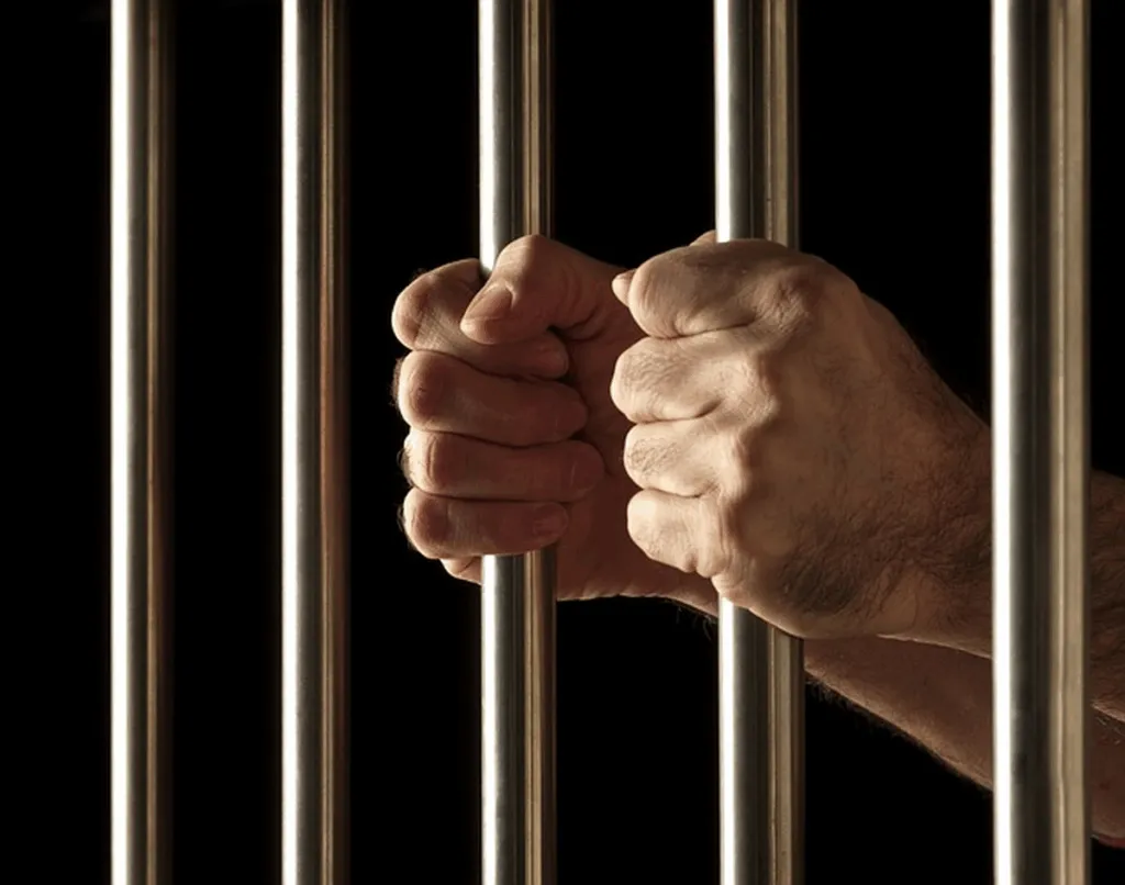 Mass-Incarceration Proponents Tout Data Showing 75% Cut In Crime If All MKs Jailed