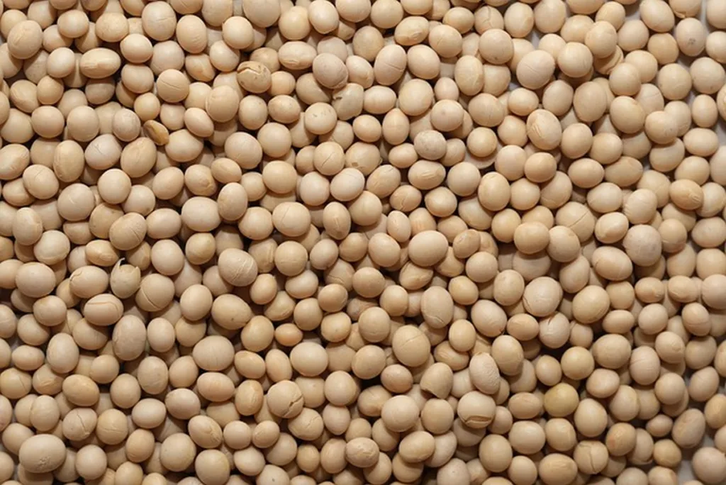 Maybe If We Boycott Soybeans, Or Something, Israel Will Disappear? I’m Out Of Ideas