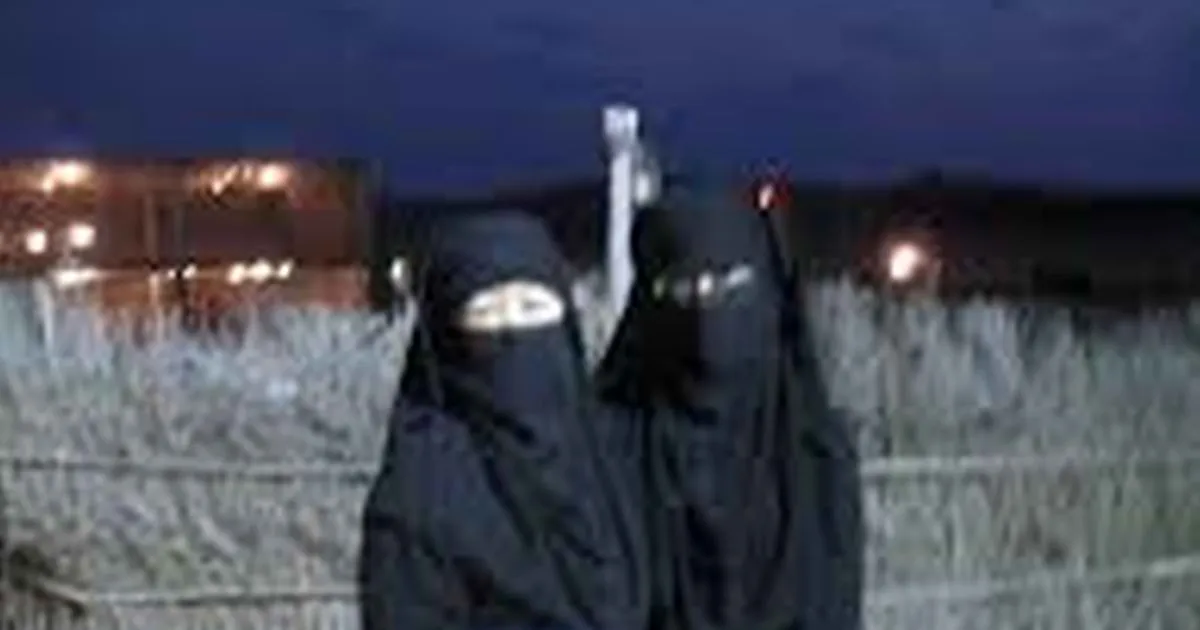 ‘Babes Of Hamas’ Pinup Calendar Selling Poorly