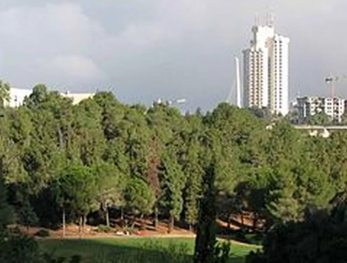 Trees Totally Oblivious Tu Bishvat Coming
