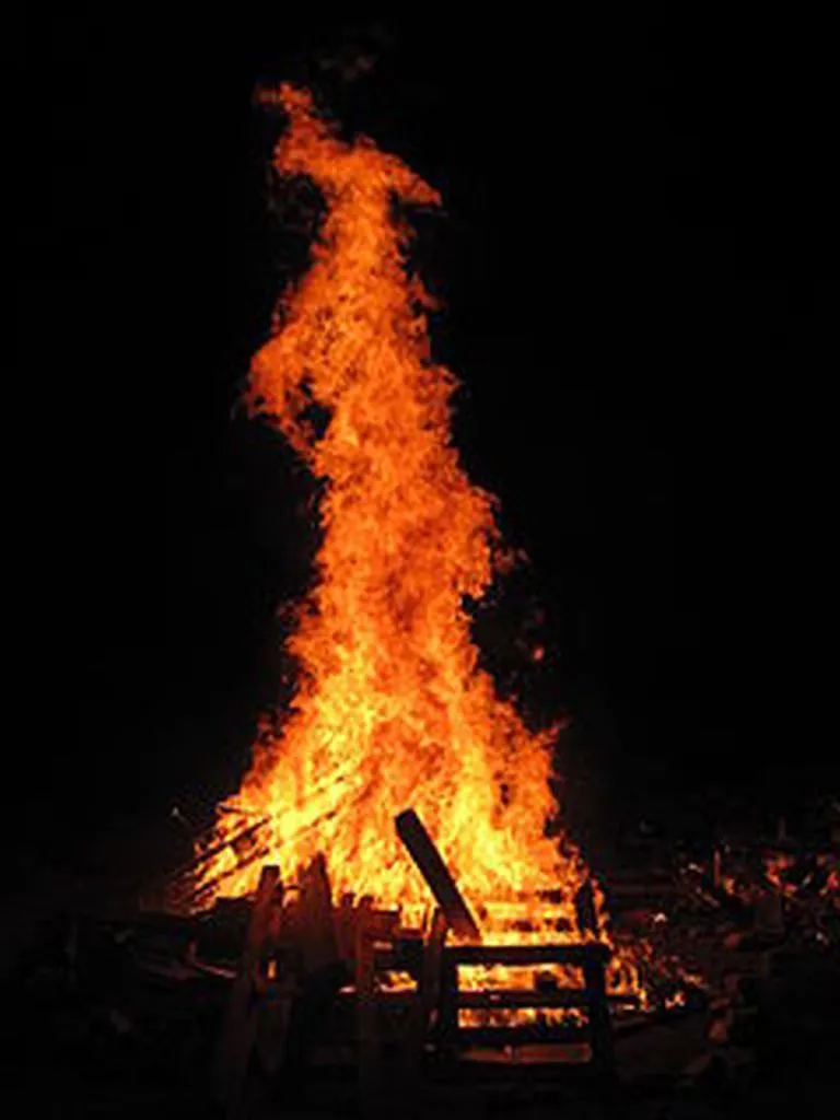 Rabbis: Avoid Gharqad Wood In Lag BaOmer Bonfires