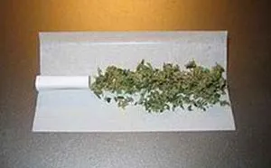 joint