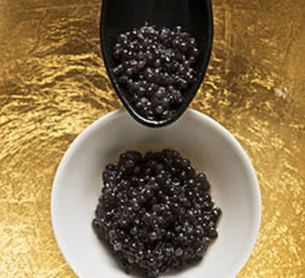 Herzog: High Price Of Caviar Proof Of Bibi’s Failure