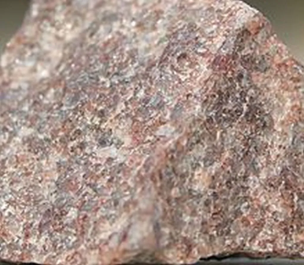 Fatwa: Rocks Used To Attack Jews Also Granted Paradise