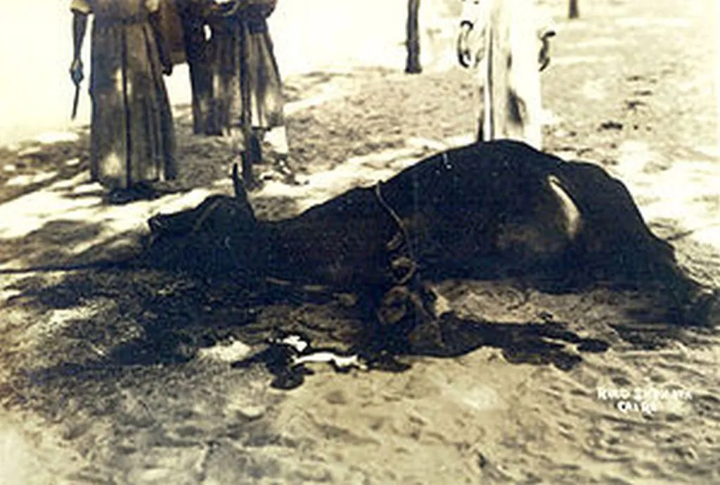 Martyrs Begin Abandoning Heaven Amid Halal Meat Shortage