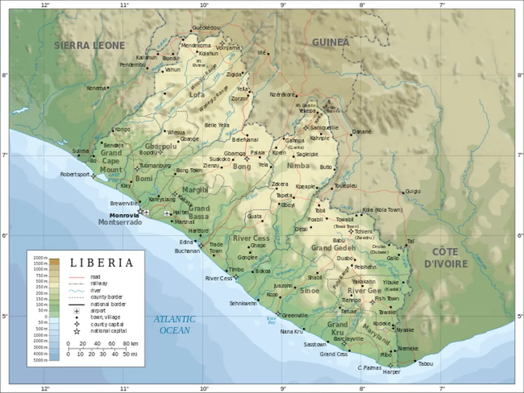 Report: No One Accuses US Blacks Of Loyalty To Liberia