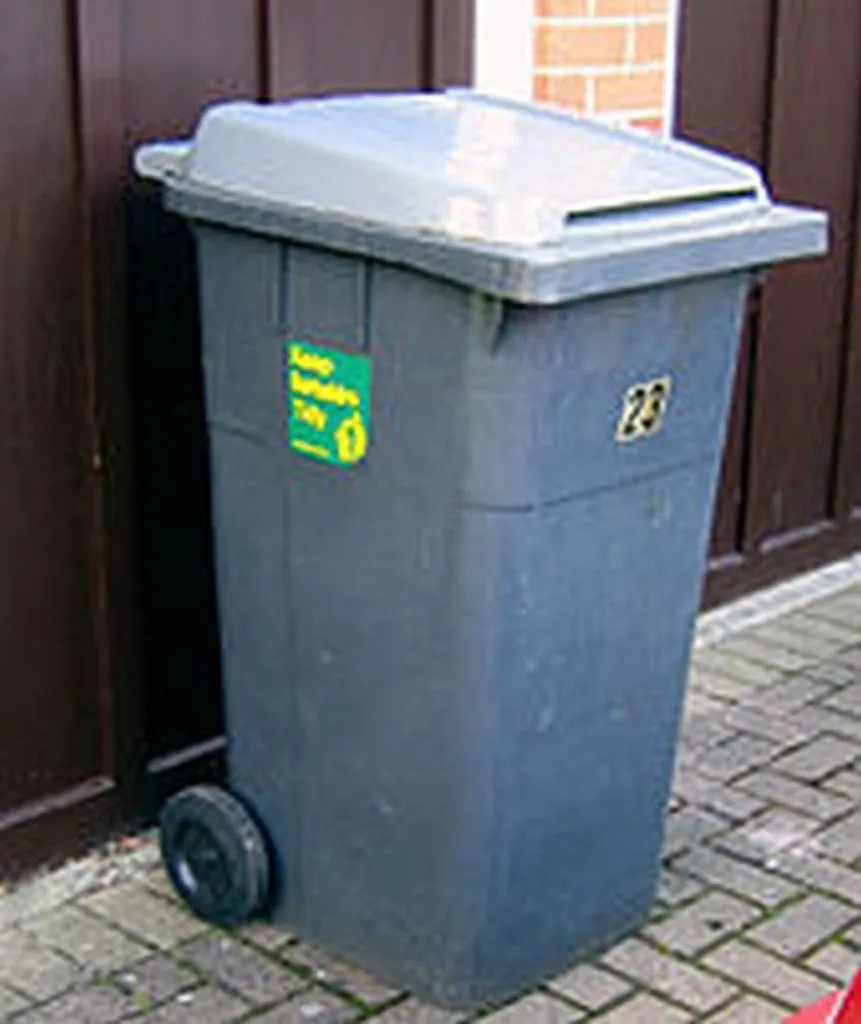 Dustbin Of History Closed Amid Environmental Concerns