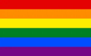 Gay_flag.svg