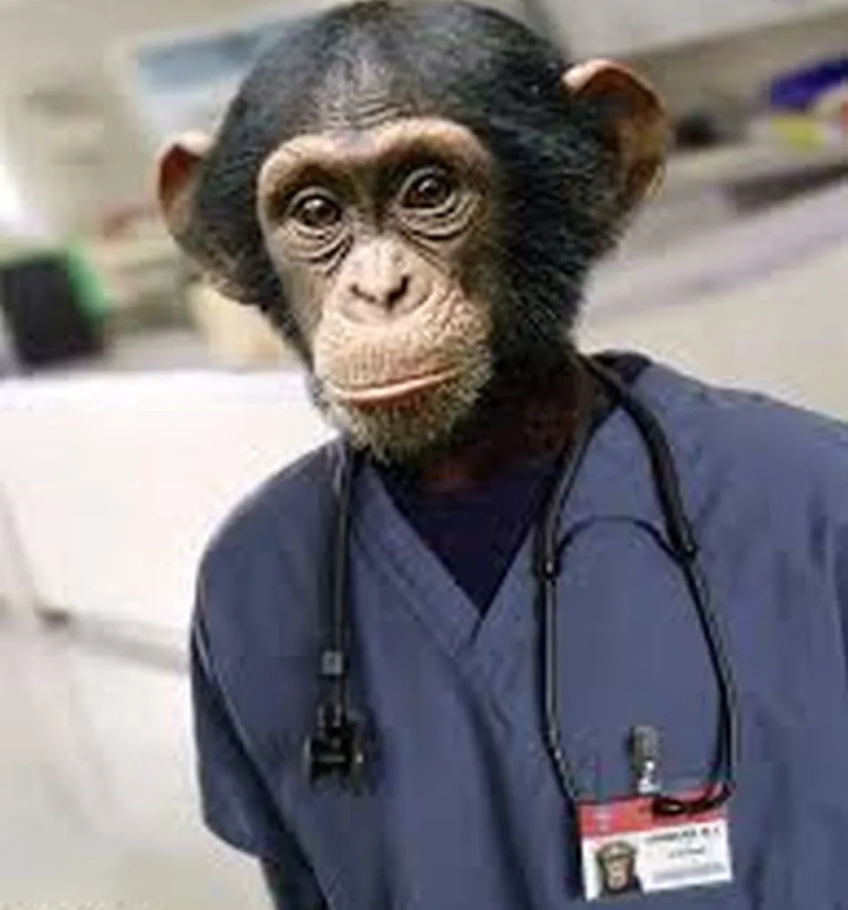 Palestinian Organs Are The Wrong Tissue Type For Us Apes/Pigs