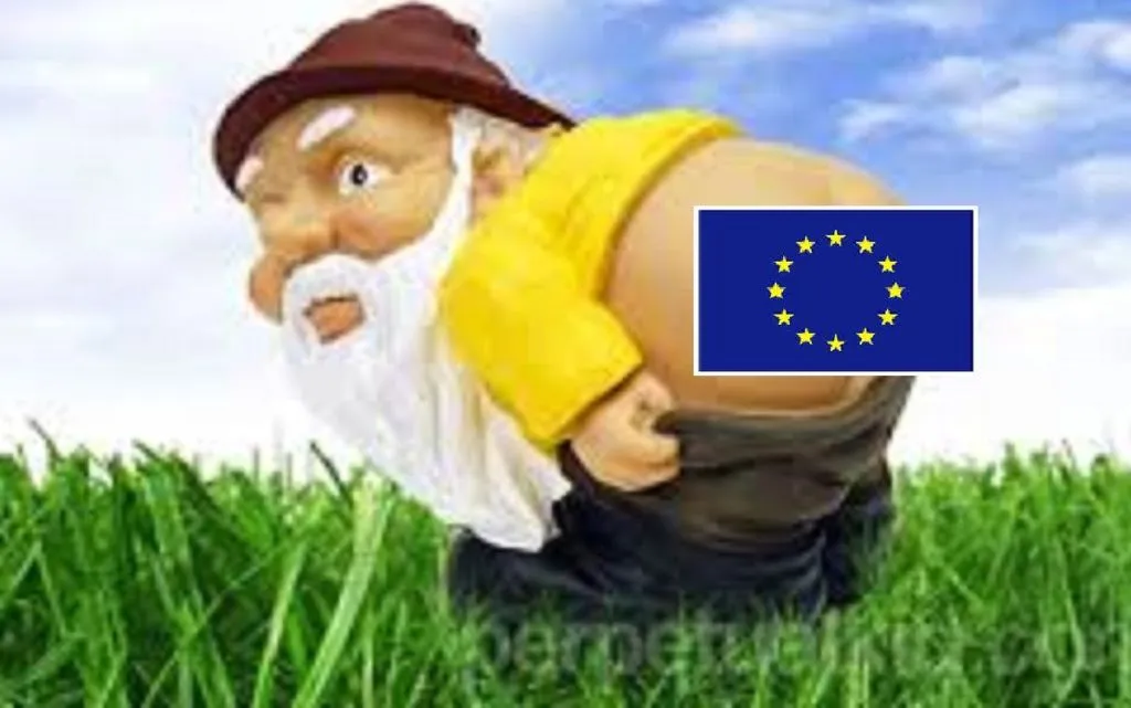 Man Hoping To Get EU Funding For Mooning IDF