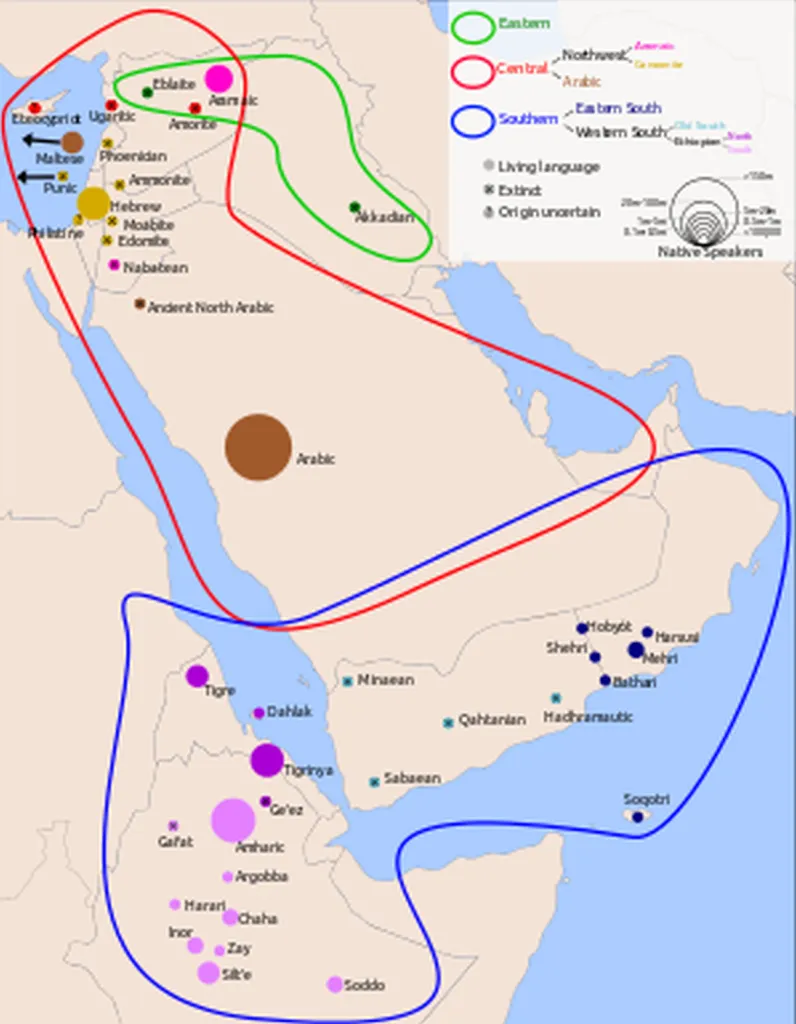 Palestinian Study: Hebrew Descended From Pig Latin