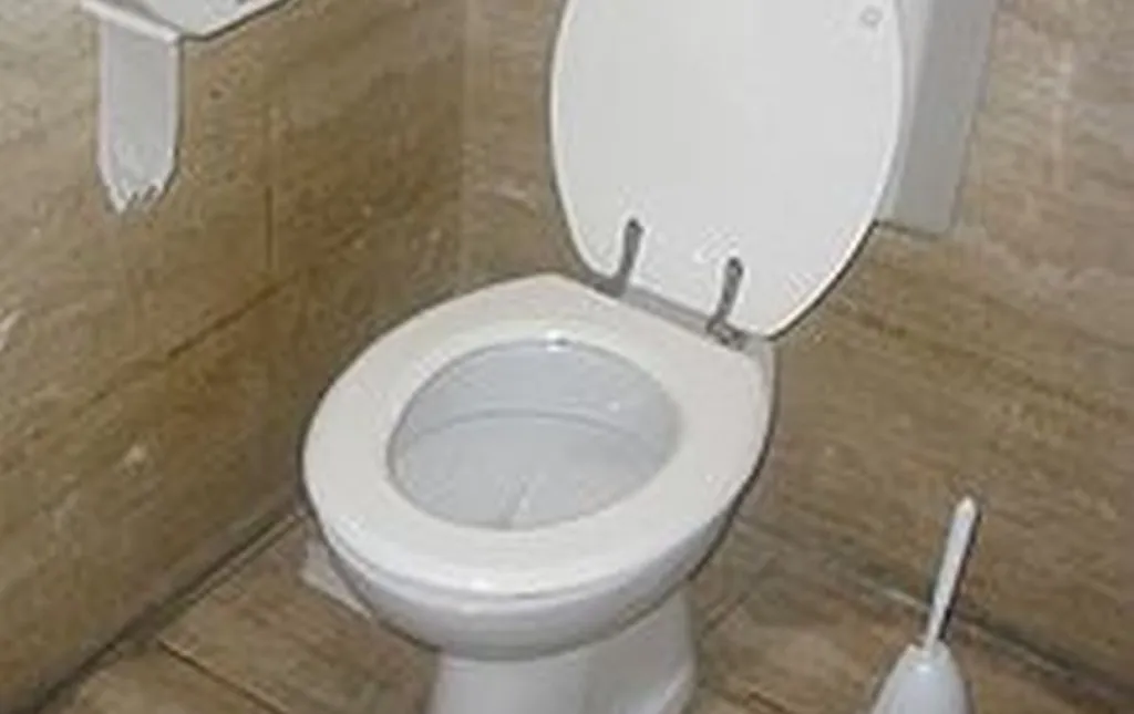 Rabbis: No Grain 1 Week Before Passover, Lest Pleasure Of Taking Massive Dump During Holiday Result From Chametz