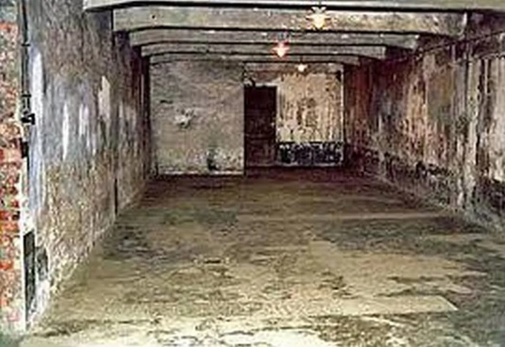 Heterosexual Male Told To Check Privilege At Gas Chamber Door