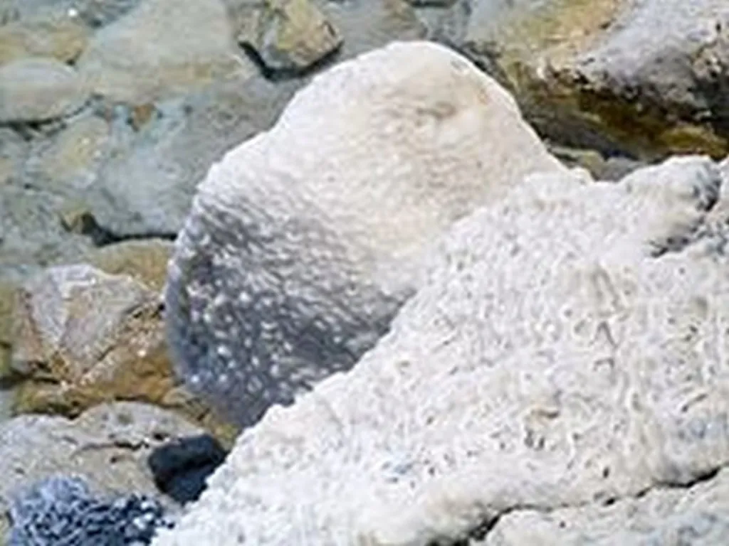 Israel Increases Mining Of Dead Sea Salt For Taking With Amnesty Reports