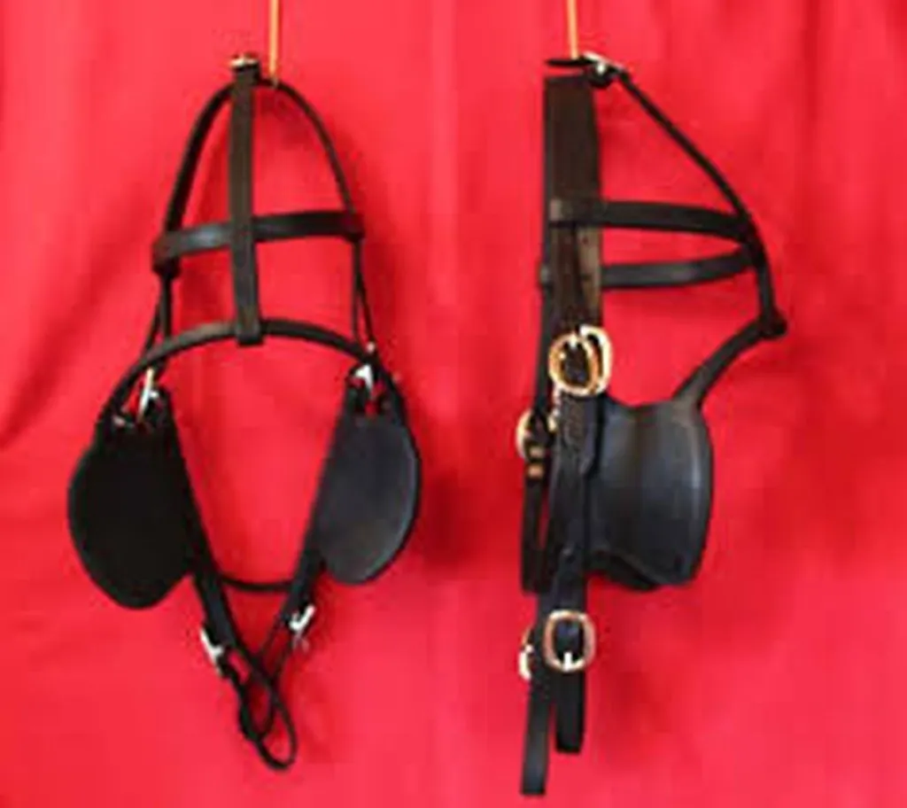 Israeli Entrepreneurs Increase Export Sales Of Blinders To EU, US