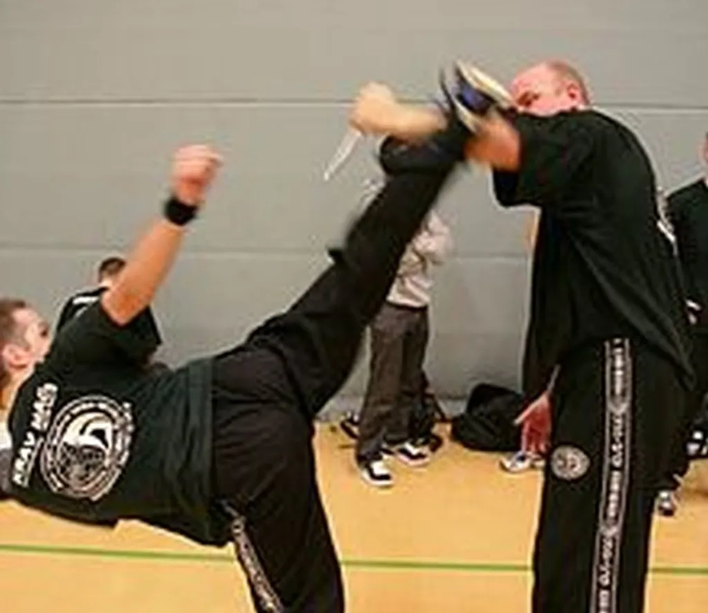 SJP Demands Local Y Stop Offering Krav Maga Course