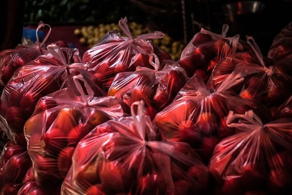 Plastic Bag Law Takes Effect; Environment Saved Forever