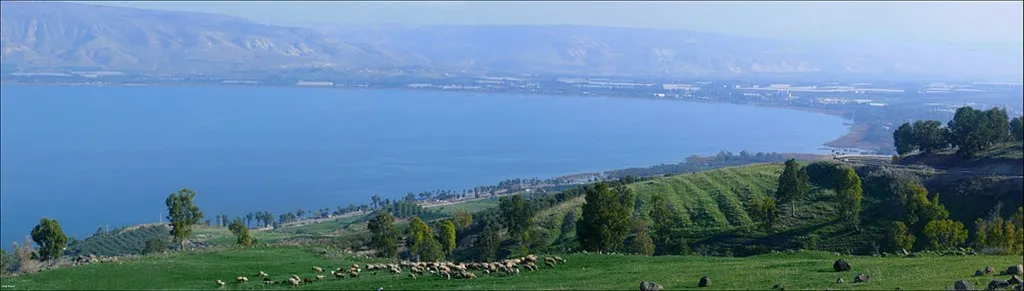 Study Finds Correlation Between Kinneret Water Level And Hype Over Kinneret Water Level