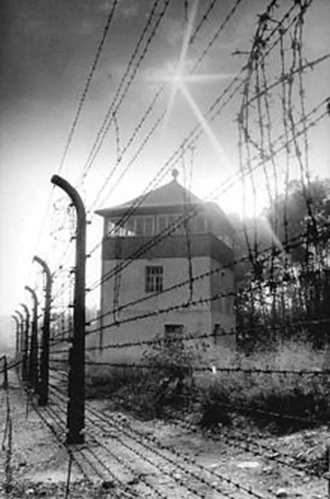 Man Says He Knows How Dachau Inmates Felt Because He’s On Low-Carb Diet