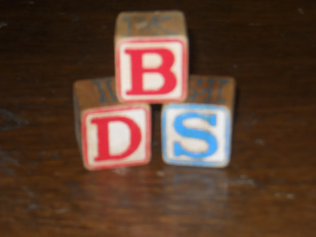 BDS Hoping To Gain Control Of Parent Committee At Preschool